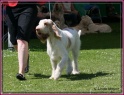 26-05-12 M GoodAsGold_IMG_4716
